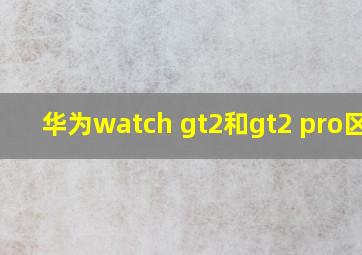 华为watch gt2和gt2 pro区别